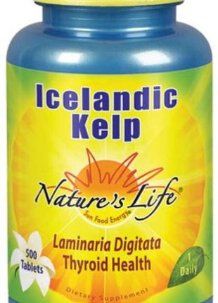 Icelandic Kelp 500 Tablets