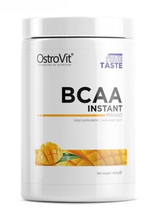 Аминокислоты BCAA Instant 400 g Mango