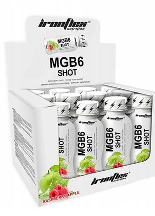 Магній + Вітамін В6 Iron Flex Mg+B6 Shot 12x 100 ml (Apple ras...