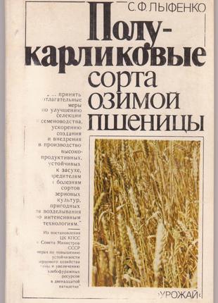 Лыфенко С. Полукарликовые сорта озимой пшеницы.