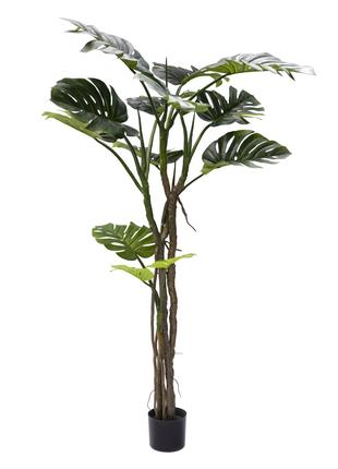 Штучна рослина Монстера 180 см. Engard TW-05