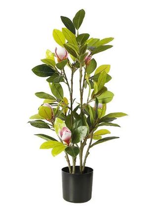 Штучна рослина Engard Magnolia 70 см (DW-17)