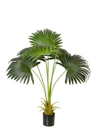 Штучна рослина Engard Fan Palm 95 см (DW-26)