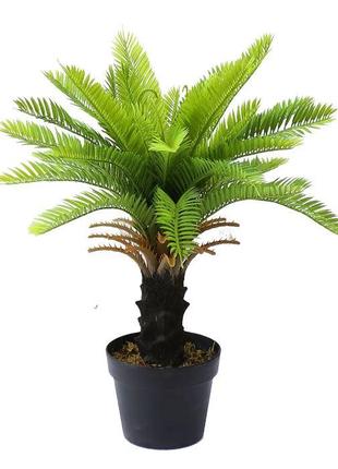 Штучна рослина Engard Cycas Palm 60 см (DW-24)