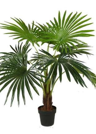 Штучна рослина Engard Fan Palm 120 см (DW-27)