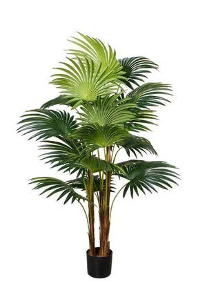 Штучна рослина Engard Cycas Palm 150 см (DW-23)