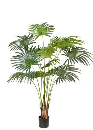 Штучна рослина Engard Fan Palm 150 см (DW-28)