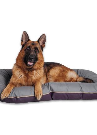 Лежак для собак Ponton Grape L — 100х70х15 см