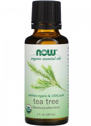 Олія чайного дерева органік Now Foods (Essential Oils Oil Tea ...