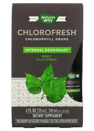Chlorofresh® Mint 40X Liquid - 2 oz