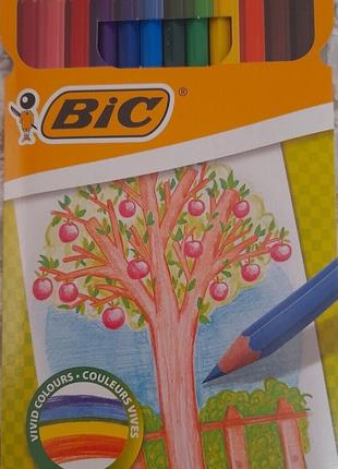 Разноцветные карандаши BIC без дерева 12 ярких цветов