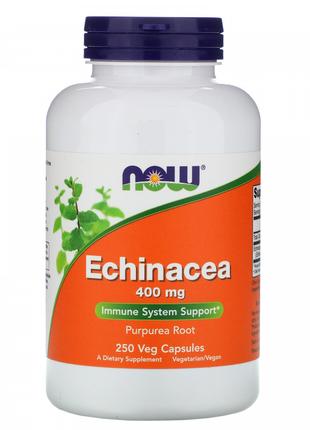 Ехінацея Now Foods (Echinacea) 400 мг 250 рослинних капсул