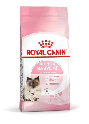 Сухой корм для новонароджених кошенят та кішок Royal Canin Mot...