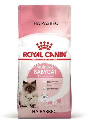 Сухой корм для новонароджених кошенят та кішок Royal Canin Mot...