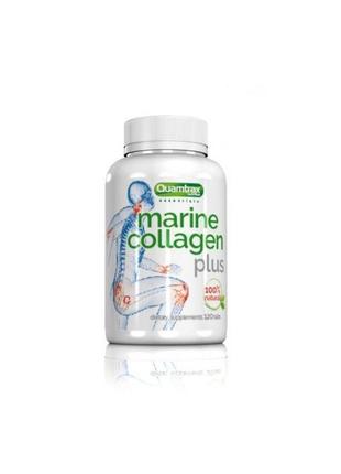 Морской коллаген Quamtrax Marine Collagen Plus with Peptan 120...