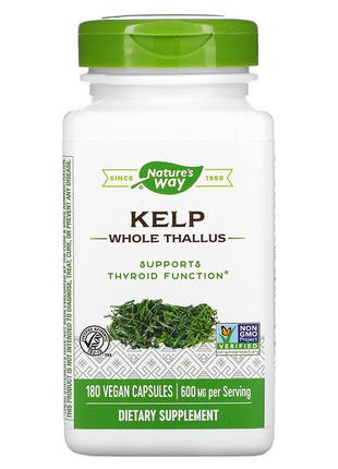 Ламінарія Nature's Way Kelp Whole Thallus 600 mg 180 Vegan Cap...