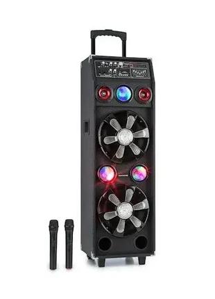 Караоке-система Auna Pro DisGo Box 2100, 100 Вт, 2 микрофона, ...