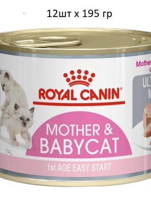 Влажный корм для новорожденных котят Royal Canin Mother & Baby...