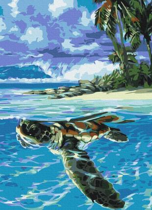 Тропическая черепаха