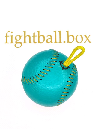 Fightball файтболл файтбол боевой мяч кожа подарок fight ball