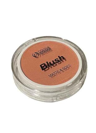 Румяна 12г для обличчя BLUSH 01 натуральний ТМ Сolour Intense