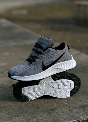 Чоловічі кросівки Nike Pegasus Trail Gray