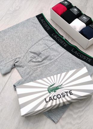 Набір чоловічих трусів 4 шт. боксерів Lacoste подовжена модель