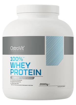 Протеин OstroVit Whey Protein, 2 кг Черника