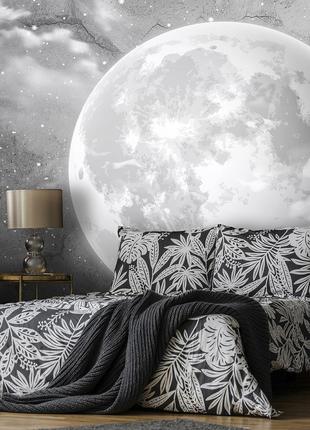 Космос фото обои 254 x 184 см Черно-белая луна на бетоне (1357...