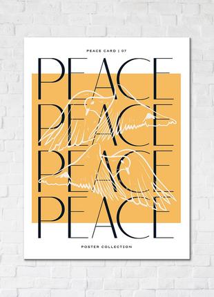 Постер Птахи миру, CN53286S, 30x40 см