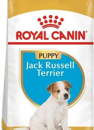 Сухий корм для цуценят Royal Canin Jack Russel Puppy 1.5 кг (3...