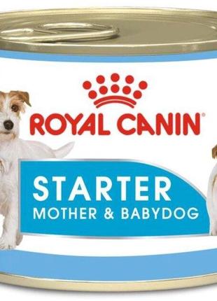 Вологий корм для новонароджених собак Royal Canin Starter Mous...