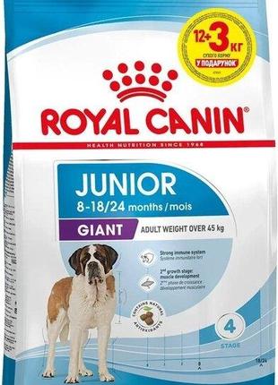 Промо набор Сухой корм для собак Royal Canin SHN GIANT JUNIOR ...