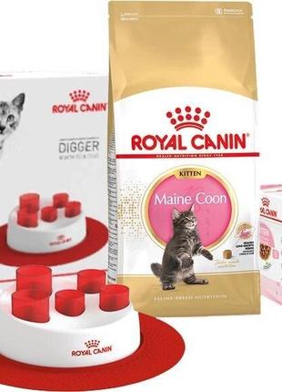 ПРОМО НАБОР Сухой корм для котят Royal Canin Mainecoon Kitten ...