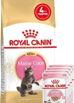 Промо набор Корм для котят Royal Canin Mainecoon Kitten 2 кг +...
