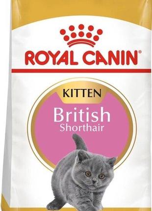 Сухой корм для кошенят Royal Canin Kitten British Shorthair 2 ...