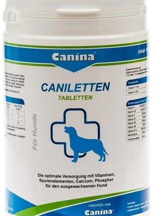 Комплекс для дорослих собак Canina Caniletten 1000 г 500 табле...