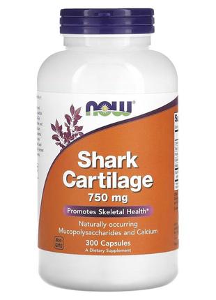 Препарат для суставов и связок NOW Shark Cartilage 750 mg, 300...