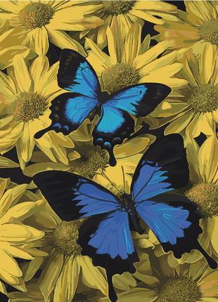 Картина за номерами Strateg Пара метеликів на кольоровому фоні...