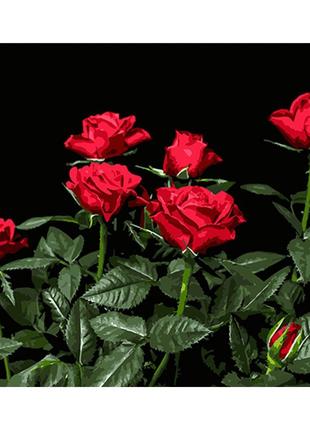 Картина за номерами Strateg ПРЕМІУМ Яскраві червоні троянди на...