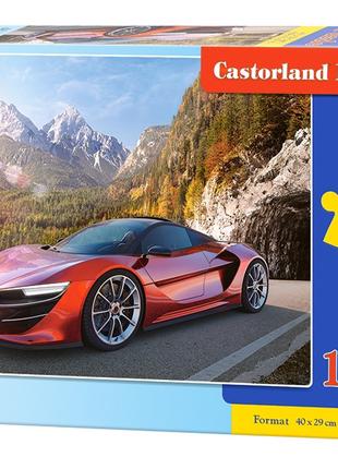 Пазлы "Sport car", 100 элементов