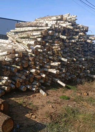 Розпродаж дров берези 1300гр