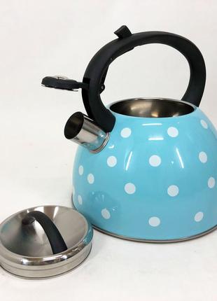 Металевий чайник Unique UN-5301 2,5 л | Маленький чайник для г...