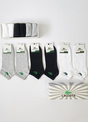Набор носки спортивные для мужчин Lacoste 6 пар. Носки комплек...