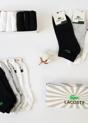 Мужские короткие носки набор Lacoste 9 пар. Летние носки низки...