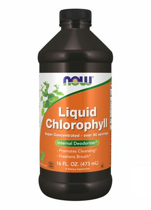 Chlorophyll Liquid Mint - 16 oz