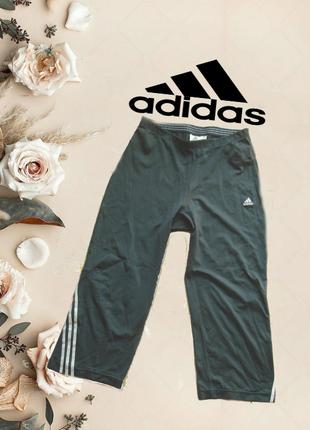 Adidas Бриджи спортивные женские серые оригинал Climalite 12