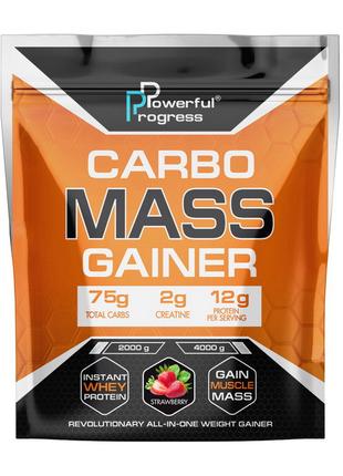 Carbo Mass Gainer (4 kg, forest fruits) 18+