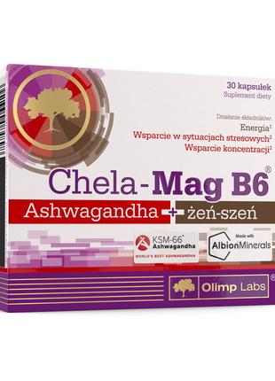 Комплекс магній з вітаміном В6 для тренувань Chela-Mag B6 Ashw...