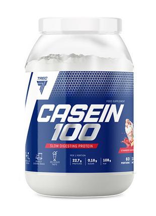 Casein 100 (600 g, chocolate) 18+